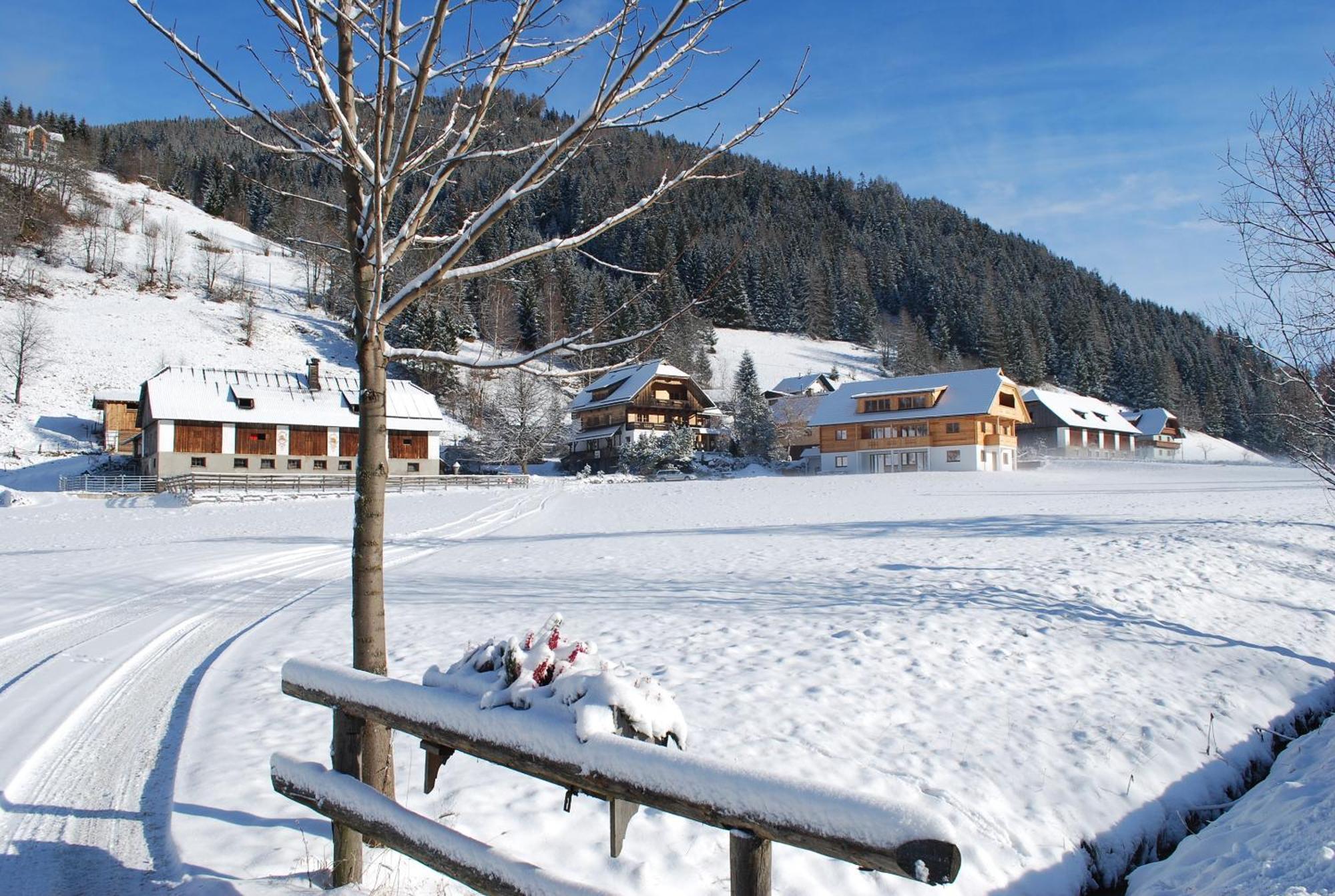 Biohof Seidl Apartment Bad Kleinkirchheim Exterior foto