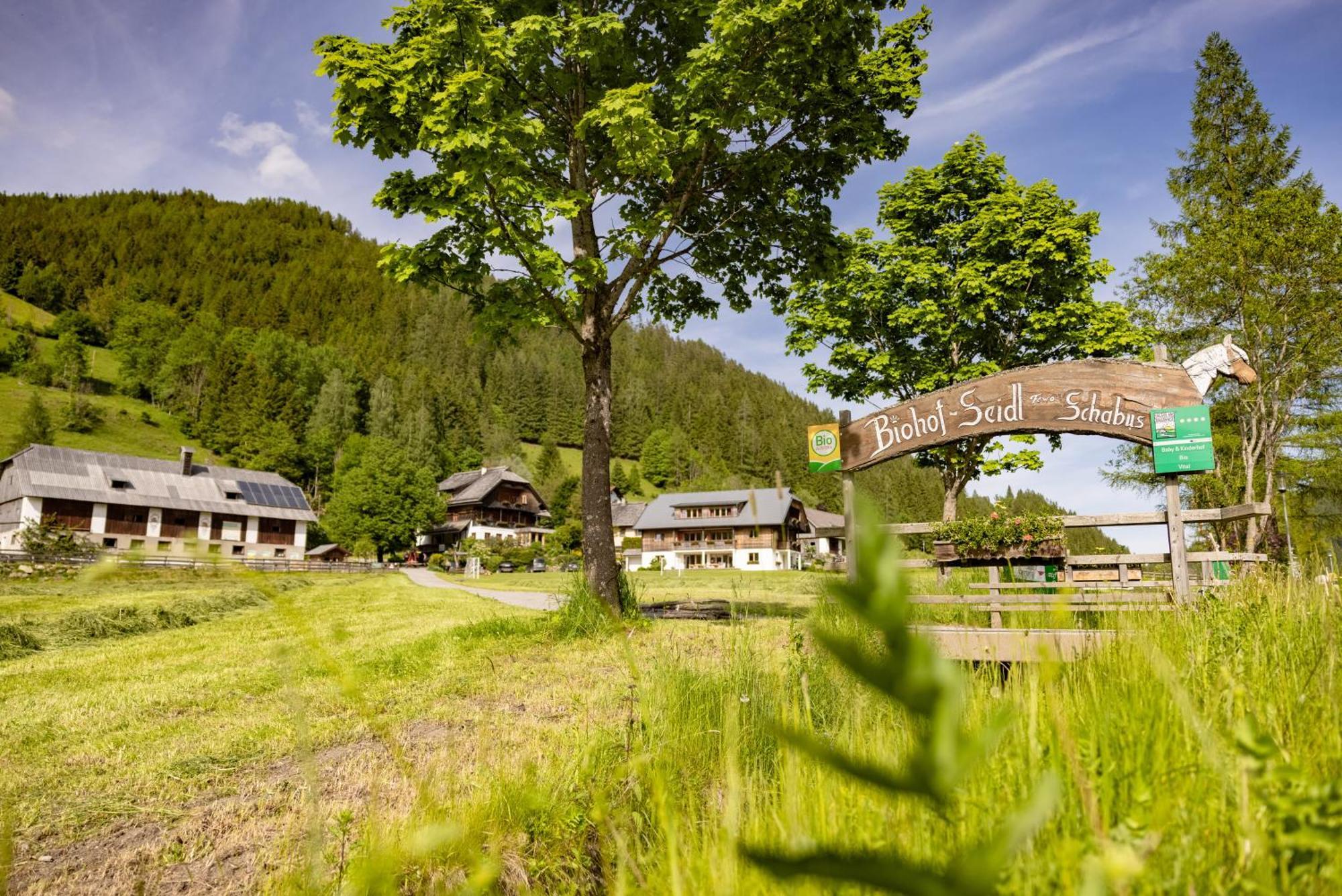 Biohof Seidl Apartment Bad Kleinkirchheim Exterior foto